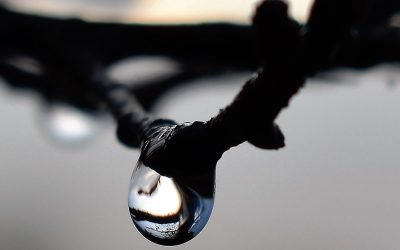 waterdrop, dew, dewdrop