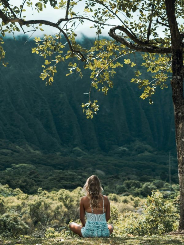 A woman sits in meditation under a tree, overlooking a tranquil mountain valley, embracing nature's calm.